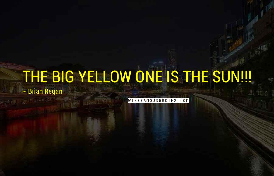 Brian Regan Quotes: THE BIG YELLOW ONE IS THE SUN!!!