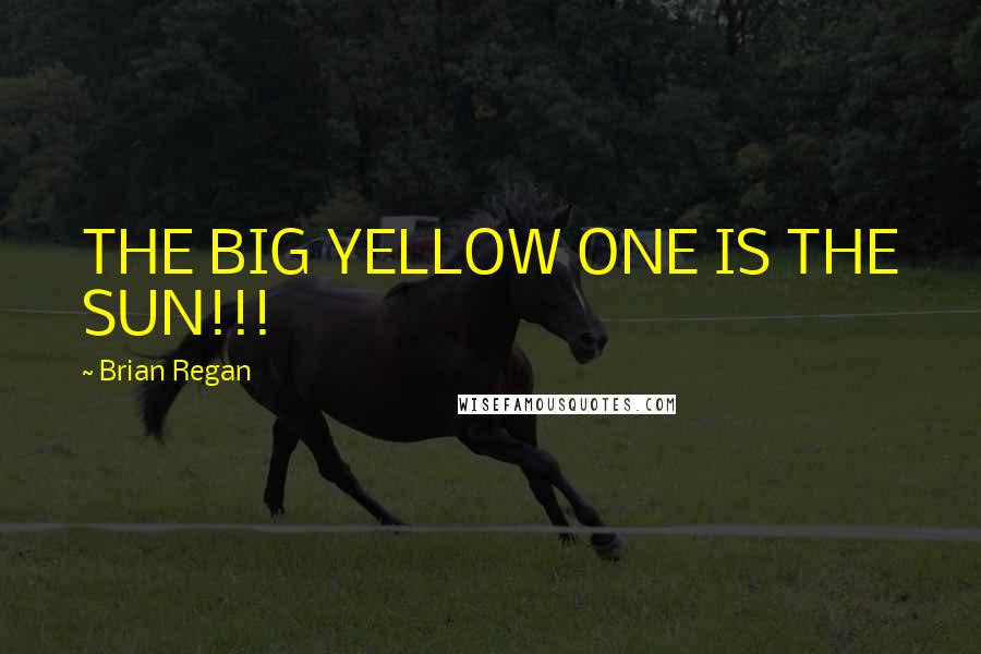 Brian Regan Quotes: THE BIG YELLOW ONE IS THE SUN!!!