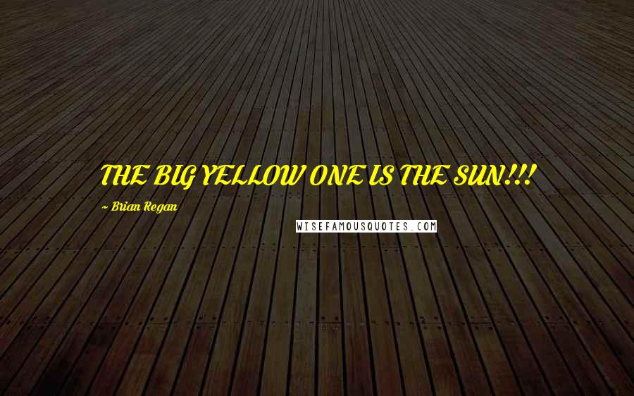 Brian Regan Quotes: THE BIG YELLOW ONE IS THE SUN!!!