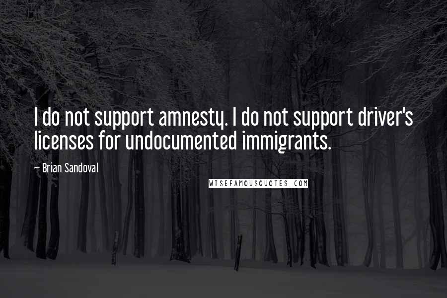 Brian Sandoval Quotes: I do not support amnesty. I do not support driver's licenses for undocumented immigrants.