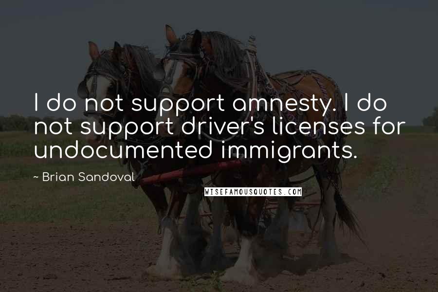 Brian Sandoval Quotes: I do not support amnesty. I do not support driver's licenses for undocumented immigrants.