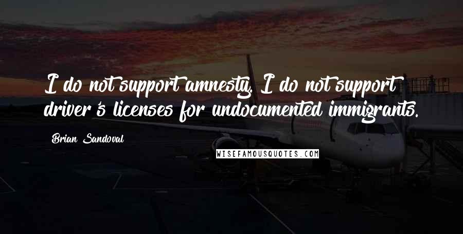 Brian Sandoval Quotes: I do not support amnesty. I do not support driver's licenses for undocumented immigrants.