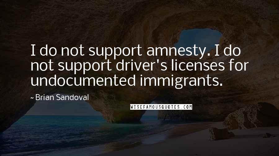 Brian Sandoval Quotes: I do not support amnesty. I do not support driver's licenses for undocumented immigrants.