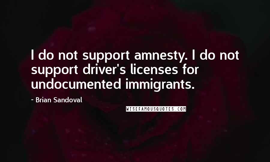 Brian Sandoval Quotes: I do not support amnesty. I do not support driver's licenses for undocumented immigrants.