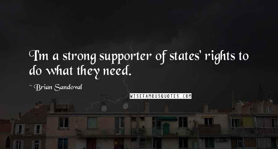 Brian Sandoval Quotes: I'm a strong supporter of states' rights to do what they need.