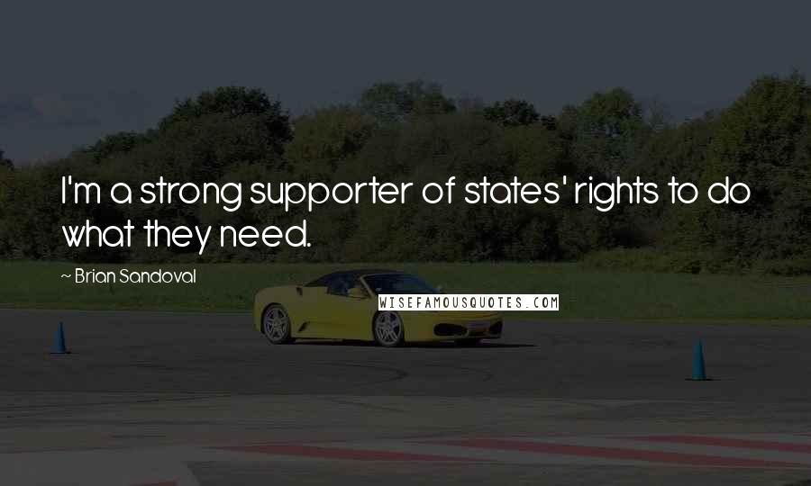 Brian Sandoval Quotes: I'm a strong supporter of states' rights to do what they need.