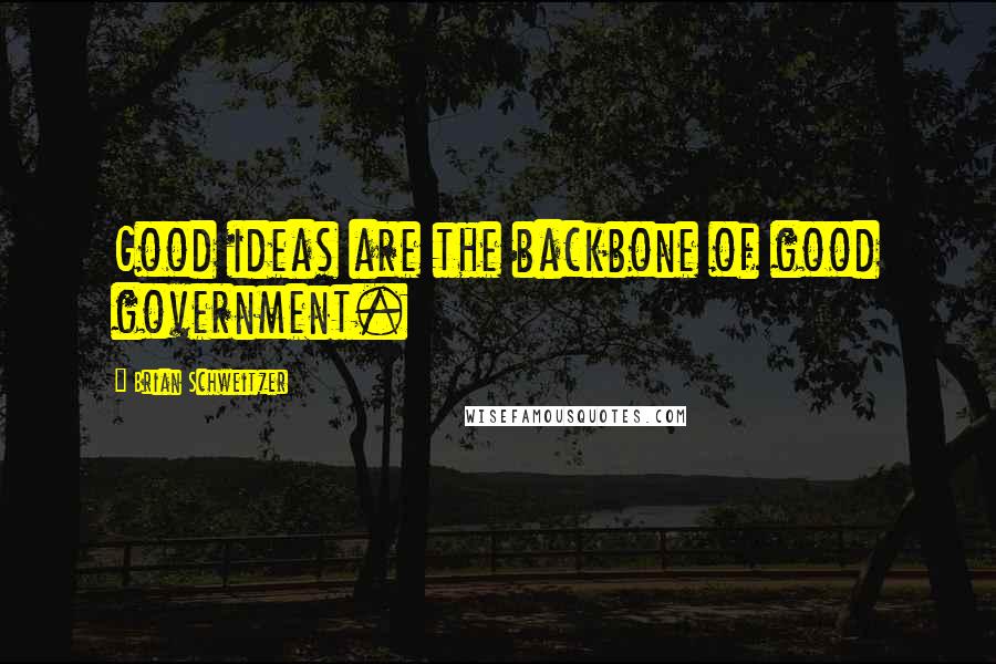 Brian Schweitzer Quotes: Good ideas are the backbone of good government.