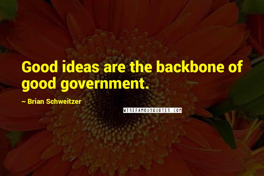 Brian Schweitzer Quotes: Good ideas are the backbone of good government.