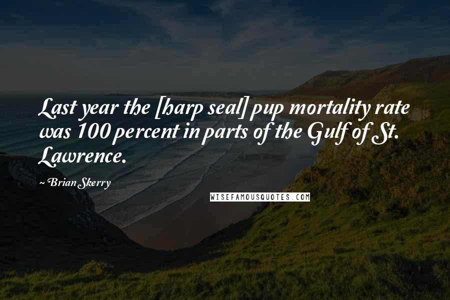 Brian Skerry Quotes: Last year the [harp seal] pup mortality rate was 100 percent in parts of the Gulf of St. Lawrence.