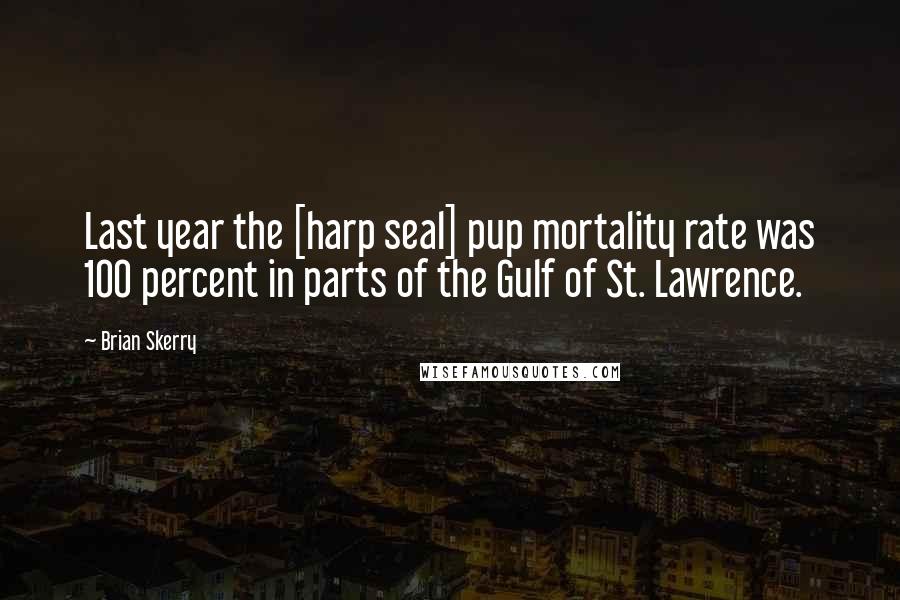 Brian Skerry Quotes: Last year the [harp seal] pup mortality rate was 100 percent in parts of the Gulf of St. Lawrence.