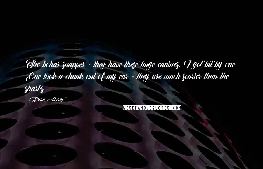 Brian Skerry Quotes: The bohar snapper - they have these huge canines. I got bit by one. One took a chunk out of my ear - they are much scarier than the sharks.