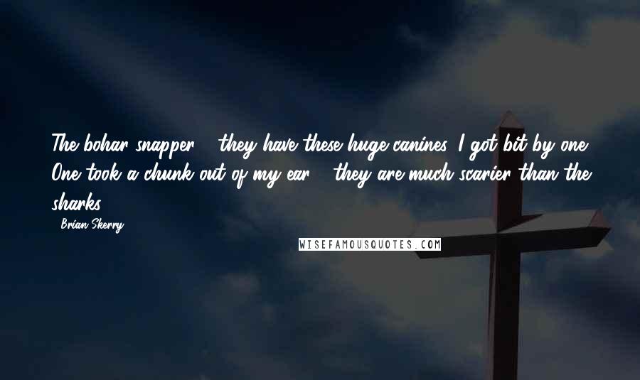 Brian Skerry Quotes: The bohar snapper - they have these huge canines. I got bit by one. One took a chunk out of my ear - they are much scarier than the sharks.