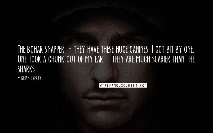 Brian Skerry Quotes: The bohar snapper - they have these huge canines. I got bit by one. One took a chunk out of my ear - they are much scarier than the sharks.