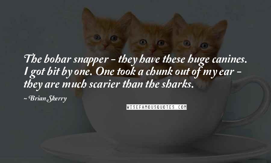 Brian Skerry Quotes: The bohar snapper - they have these huge canines. I got bit by one. One took a chunk out of my ear - they are much scarier than the sharks.