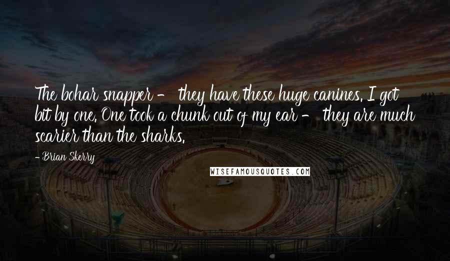 Brian Skerry Quotes: The bohar snapper - they have these huge canines. I got bit by one. One took a chunk out of my ear - they are much scarier than the sharks.