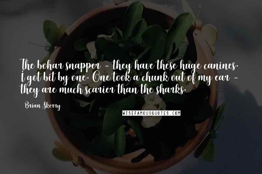Brian Skerry Quotes: The bohar snapper - they have these huge canines. I got bit by one. One took a chunk out of my ear - they are much scarier than the sharks.
