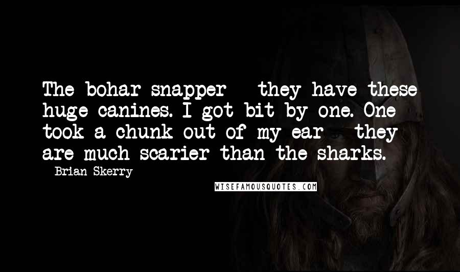 Brian Skerry Quotes: The bohar snapper - they have these huge canines. I got bit by one. One took a chunk out of my ear - they are much scarier than the sharks.