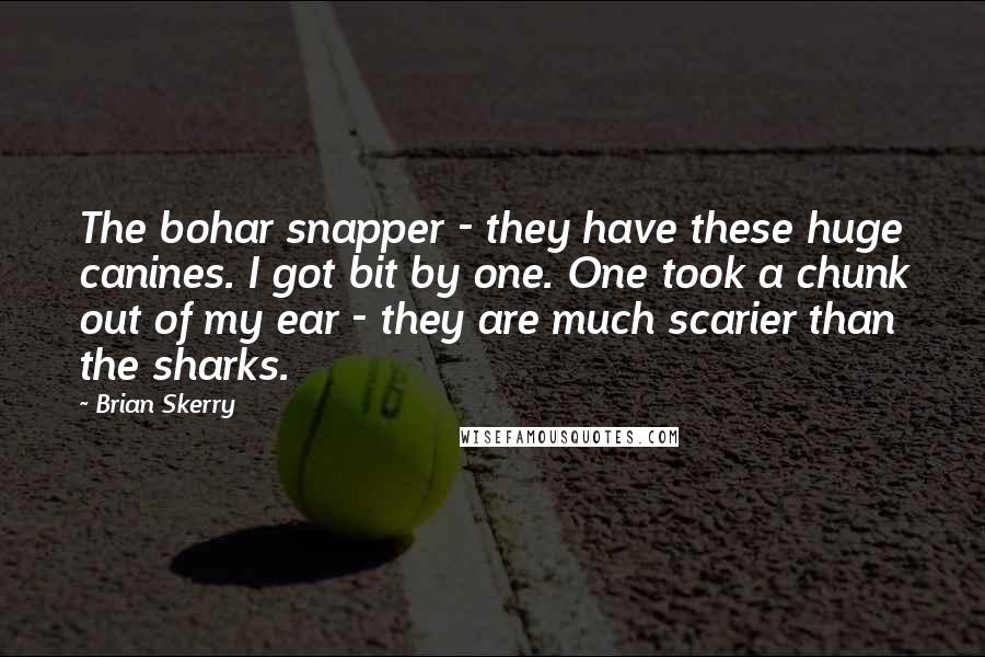 Brian Skerry Quotes: The bohar snapper - they have these huge canines. I got bit by one. One took a chunk out of my ear - they are much scarier than the sharks.