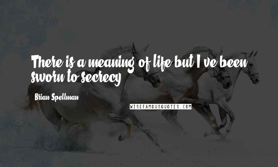 Brian Spellman Quotes: There is a meaning of life but I've been sworn to secrecy.