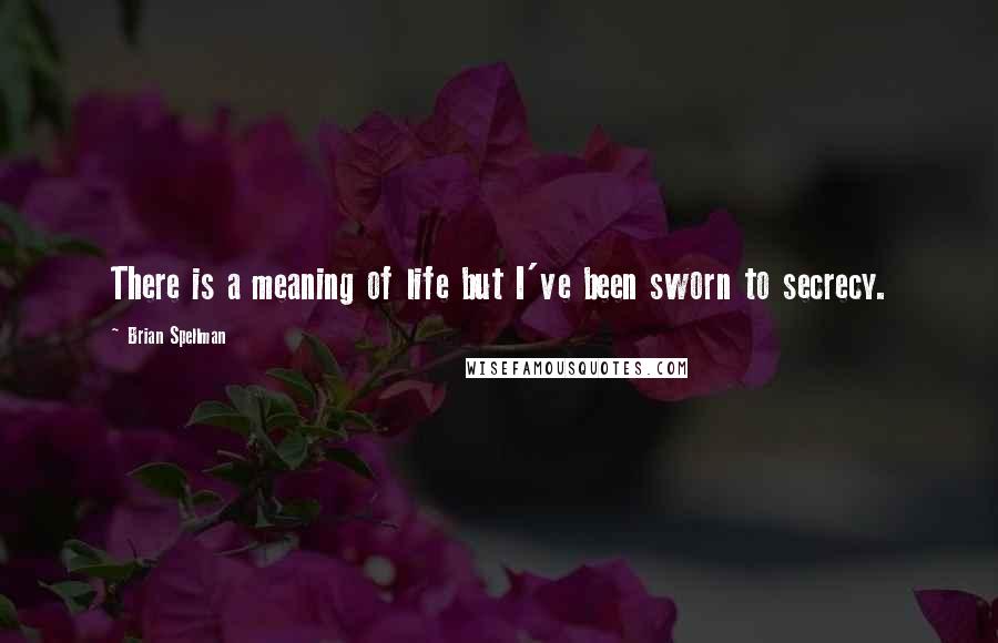 Brian Spellman Quotes: There is a meaning of life but I've been sworn to secrecy.