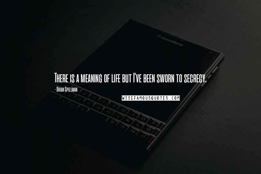 Brian Spellman Quotes: There is a meaning of life but I've been sworn to secrecy.