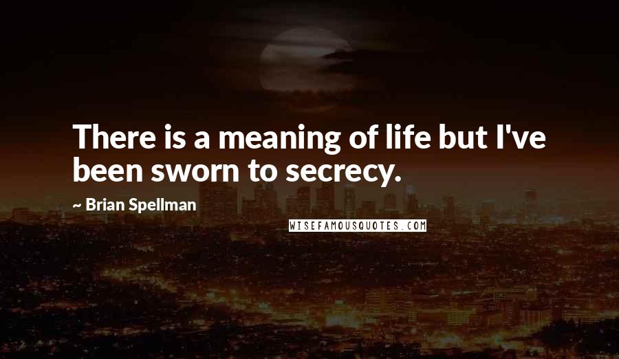 Brian Spellman Quotes: There is a meaning of life but I've been sworn to secrecy.