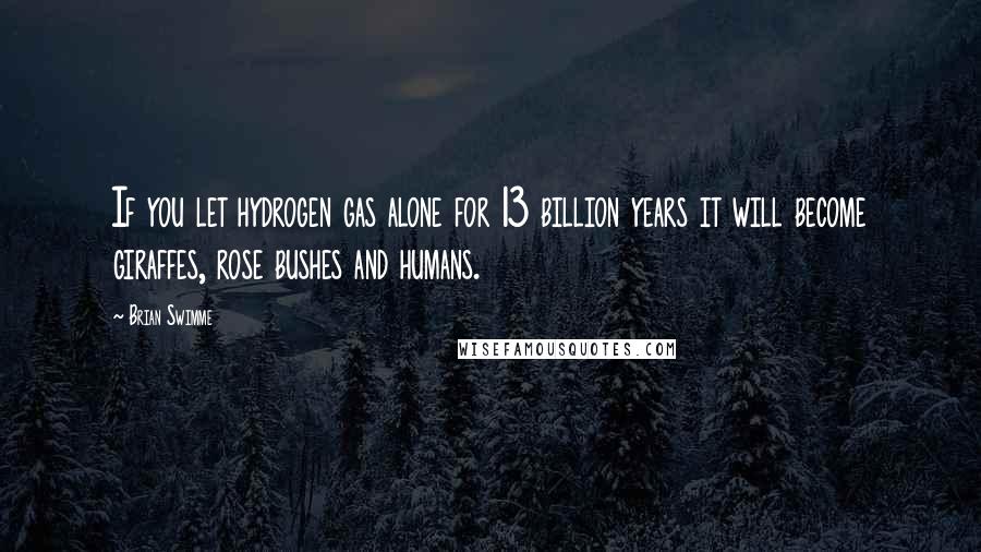 Brian Swimme Quotes: If you let hydrogen gas alone for 13 billion years it will become giraffes, rose bushes and humans.