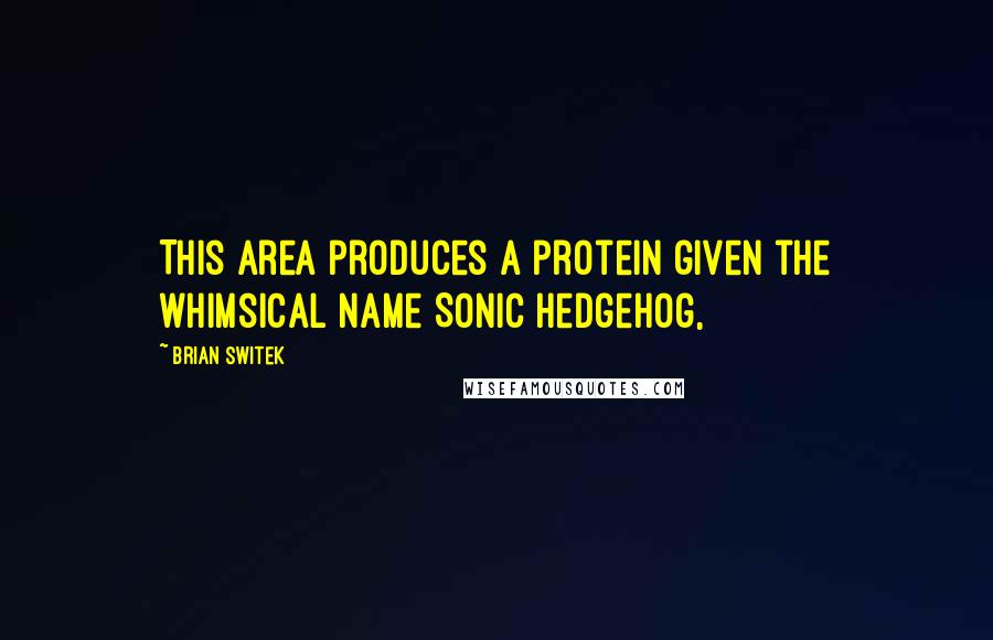 Brian Switek Quotes: This area produces a protein given the whimsical name Sonic Hedgehog,