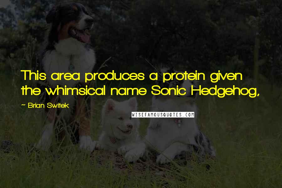 Brian Switek Quotes: This area produces a protein given the whimsical name Sonic Hedgehog,