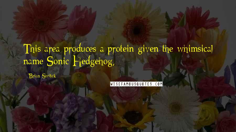 Brian Switek Quotes: This area produces a protein given the whimsical name Sonic Hedgehog,