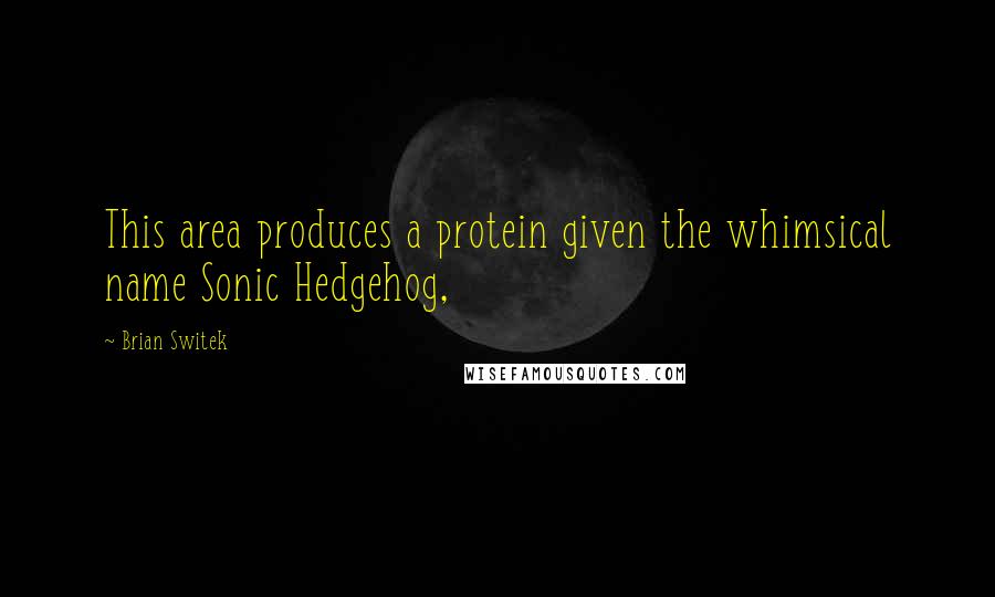 Brian Switek Quotes: This area produces a protein given the whimsical name Sonic Hedgehog,