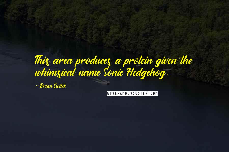 Brian Switek Quotes: This area produces a protein given the whimsical name Sonic Hedgehog,