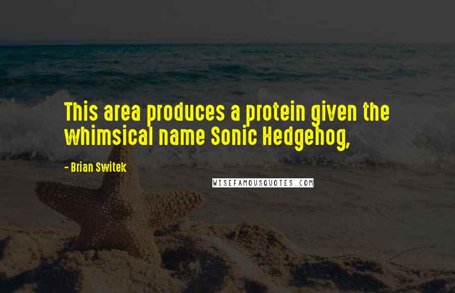 Brian Switek Quotes: This area produces a protein given the whimsical name Sonic Hedgehog,