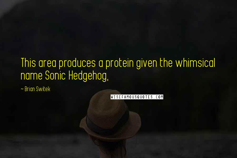 Brian Switek Quotes: This area produces a protein given the whimsical name Sonic Hedgehog,