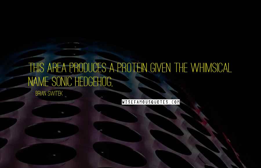 Brian Switek Quotes: This area produces a protein given the whimsical name Sonic Hedgehog,