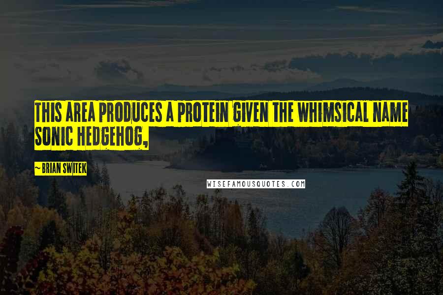 Brian Switek Quotes: This area produces a protein given the whimsical name Sonic Hedgehog,