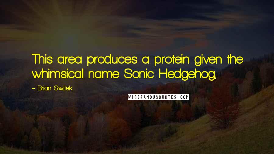 Brian Switek Quotes: This area produces a protein given the whimsical name Sonic Hedgehog,