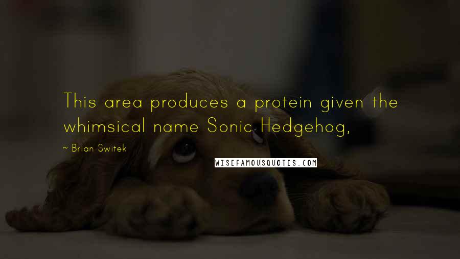 Brian Switek Quotes: This area produces a protein given the whimsical name Sonic Hedgehog,