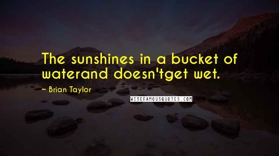 Brian Taylor Quotes: The sunshines in a bucket of waterand doesn'tget wet.