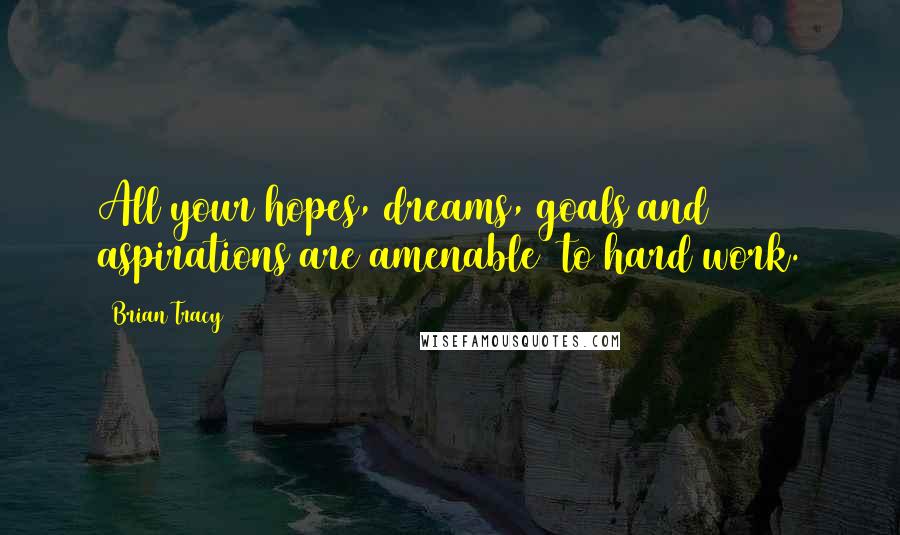 Brian Tracy Quotes: All your hopes, dreams, goals and aspirations are amenable  to hard work.