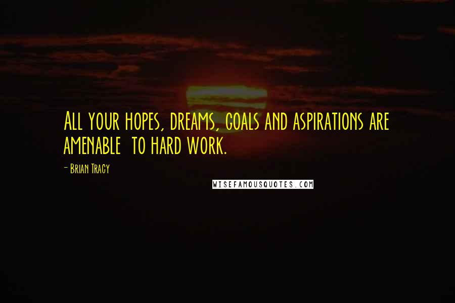 Brian Tracy Quotes: All your hopes, dreams, goals and aspirations are amenable  to hard work.