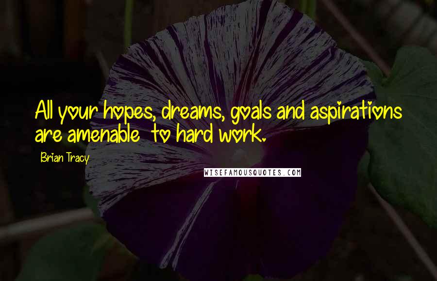 Brian Tracy Quotes: All your hopes, dreams, goals and aspirations are amenable to hard work.