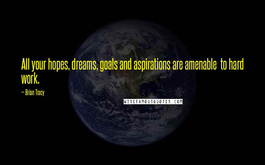 Brian Tracy Quotes: All your hopes, dreams, goals and aspirations are amenable to hard work.