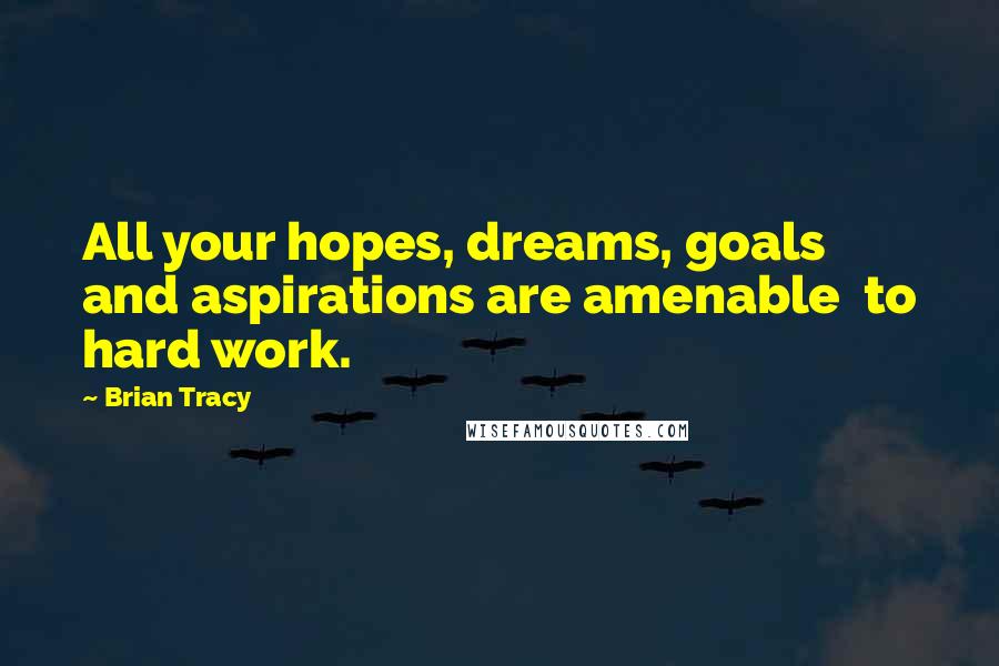Brian Tracy Quotes: All your hopes, dreams, goals and aspirations are amenable to hard work.