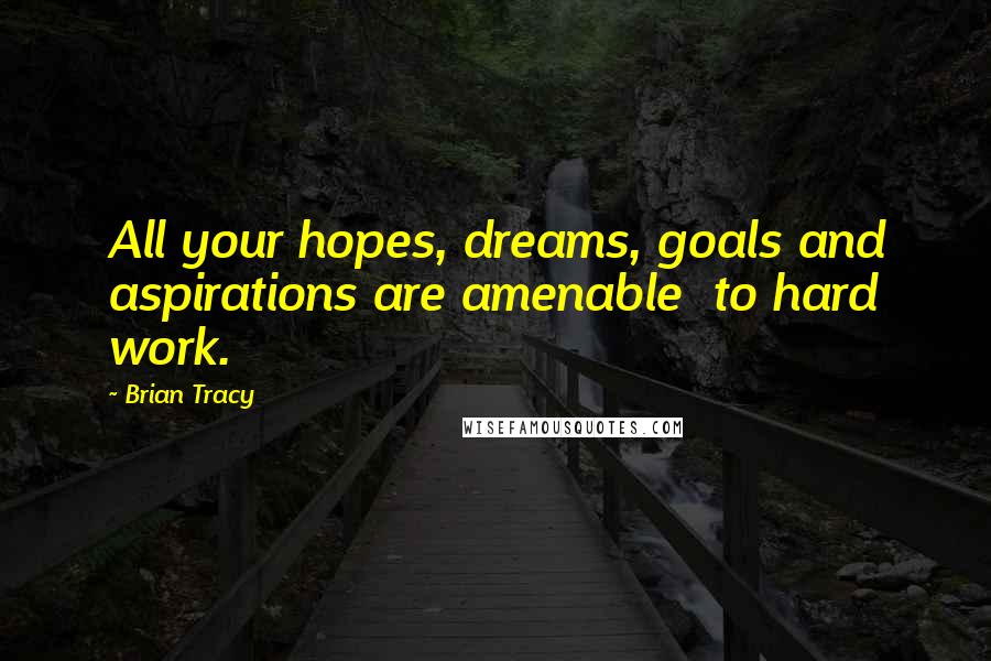 Brian Tracy Quotes: All your hopes, dreams, goals and aspirations are amenable  to hard work.