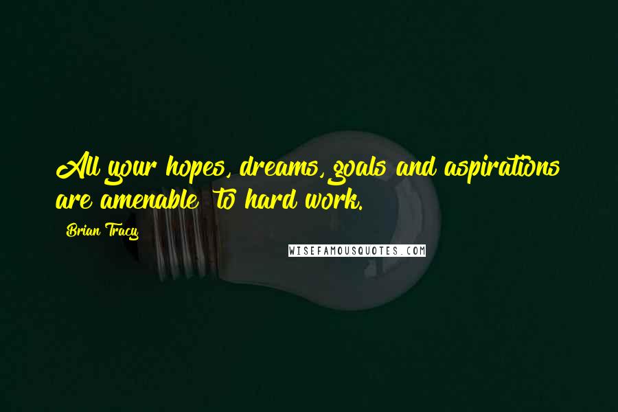 Brian Tracy Quotes: All your hopes, dreams, goals and aspirations are amenable  to hard work.