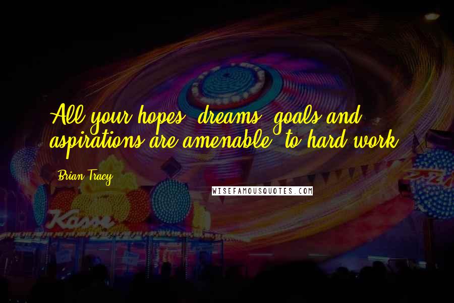 Brian Tracy Quotes: All your hopes, dreams, goals and aspirations are amenable to hard work.