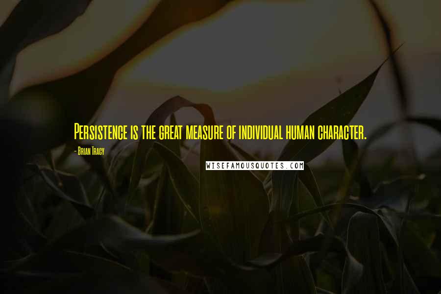 Brian Tracy Quotes: Persistence is the great measure of individual human character.