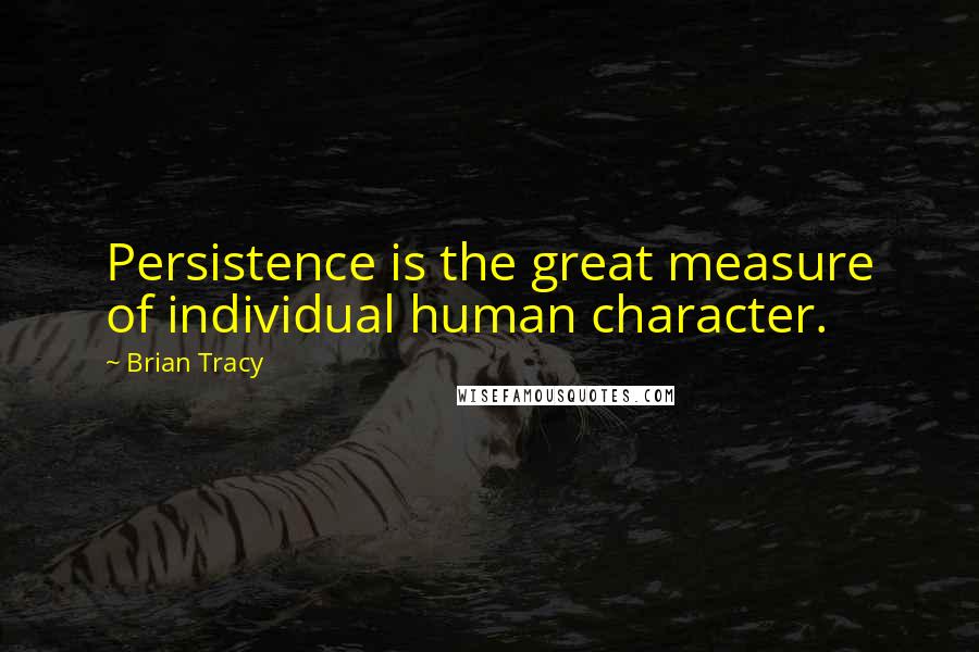 Brian Tracy Quotes: Persistence is the great measure of individual human character.