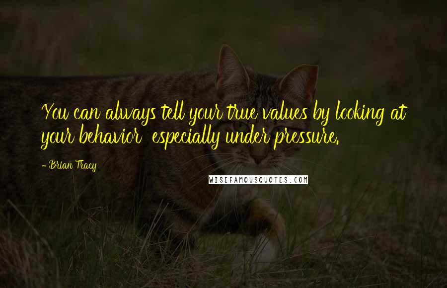 Brian Tracy Quotes: You can always tell your true values by looking at your behavior  especially under pressure.